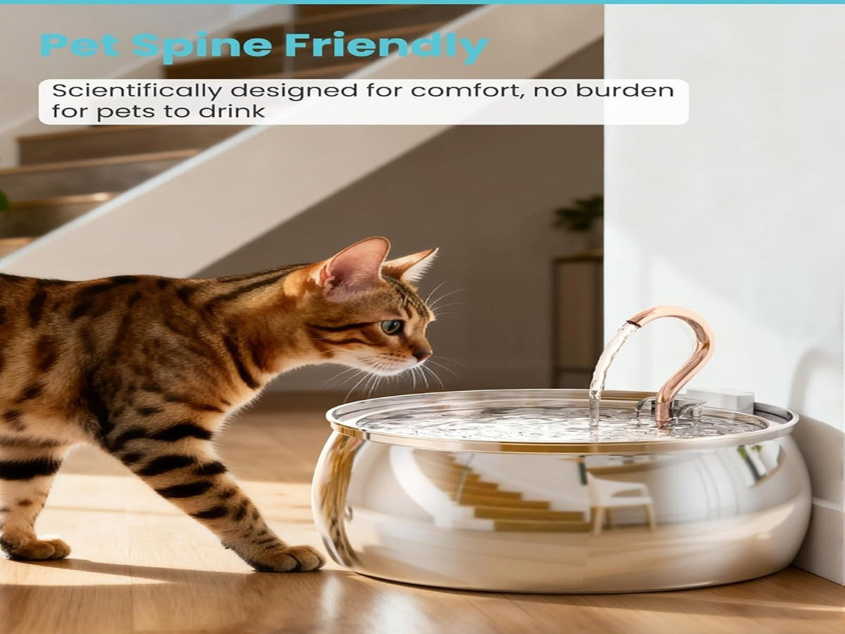 4L Copper Pipe Stainless Steel Pet Fountain – ≤20dB Ultra-Quiet, Multi-Stage Filtration