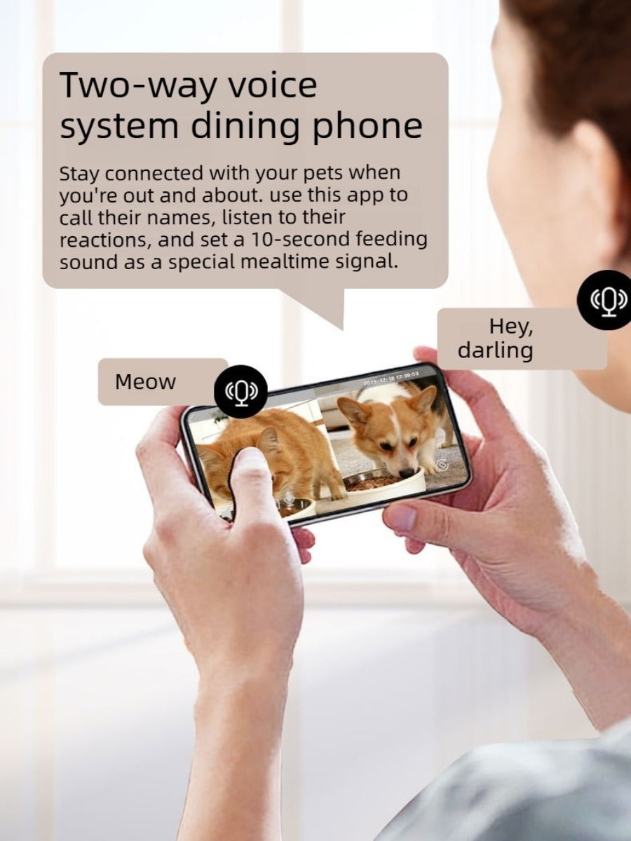 6L Dual-Bowl Smart Pet Feeder with Dual Cameras & AI Recognition – 180° View, APP Control