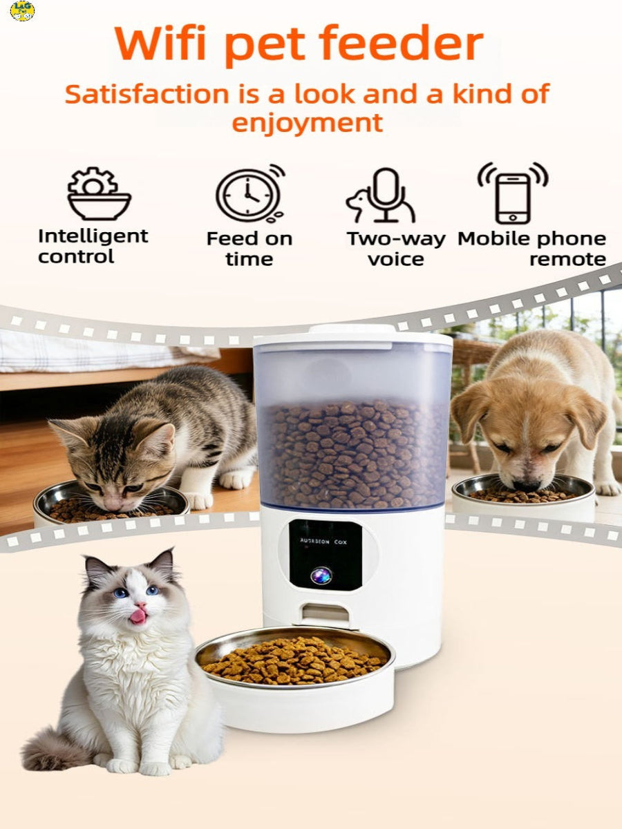 Multi-Pet Household with Cat and Small Dog Eating from 6L Large-Capacity Smart Feeder