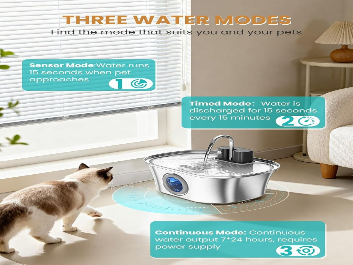 Cat Approaching and Drinking from Infrared Sensor Activated Stainless Steel Water Fountain