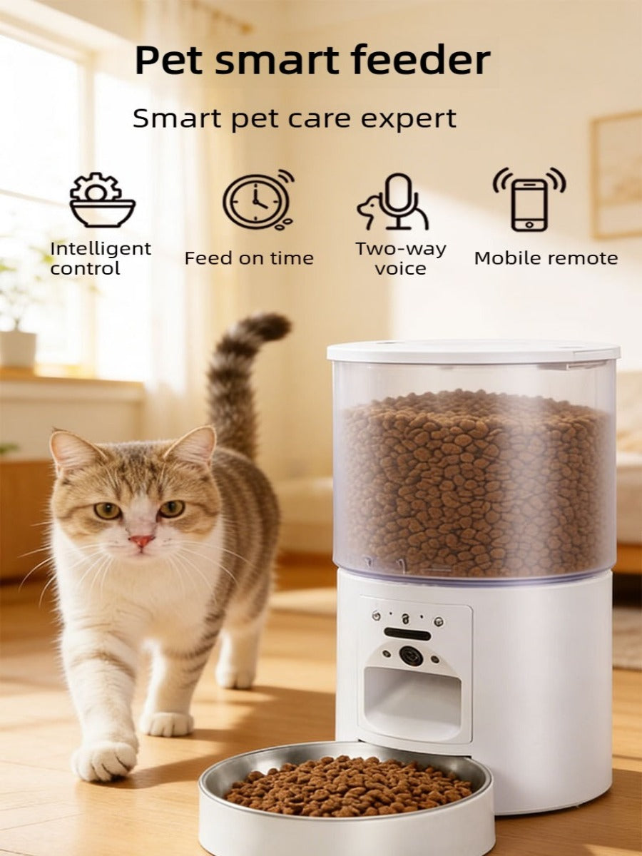 Orange Tabby Cat Eating Dry Food from 4L Automatic Smart Pet Feeder at Home