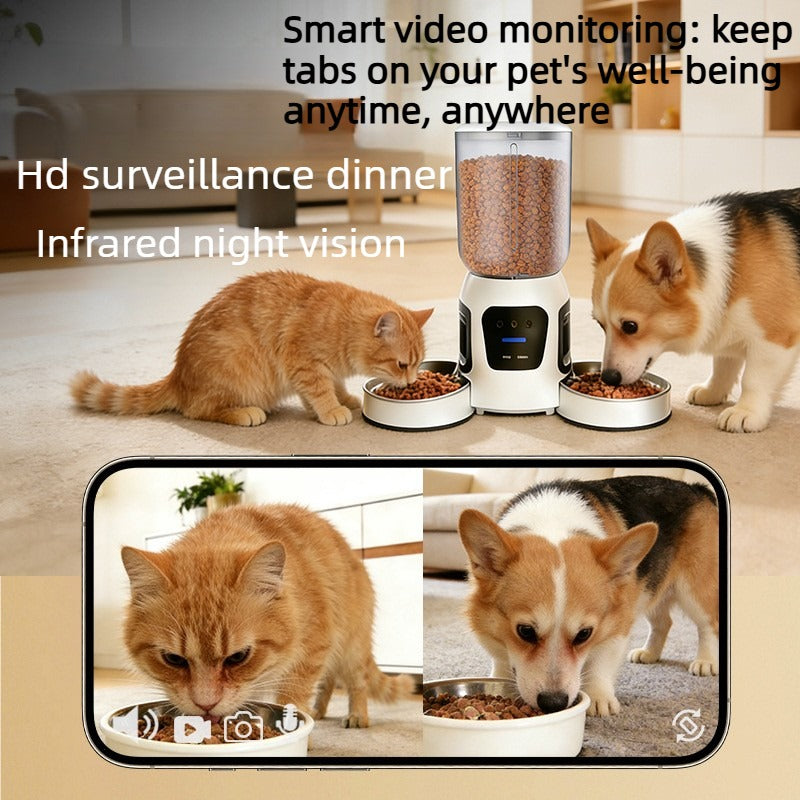 Two Cats Eating Simultaneously from Dual-Bowl Automatic Pet Feeder for Multi-Pet Homes